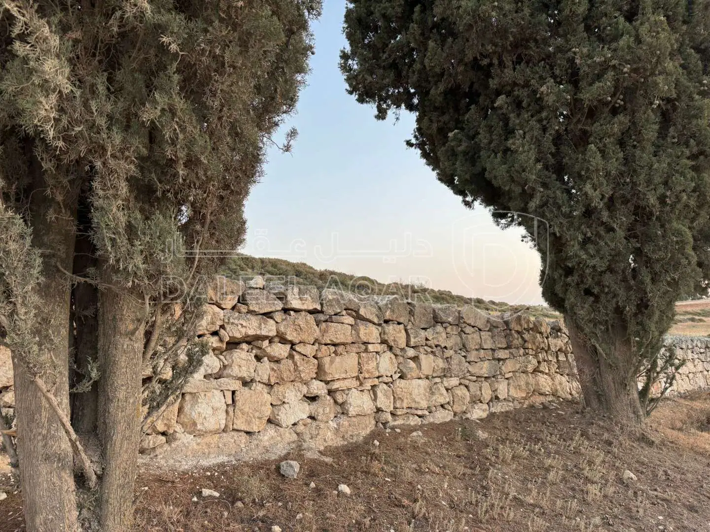 أرض في بلعاس - يبعد 6 دقائق عن طريق المطار - 195,000 دأ - صورة 1